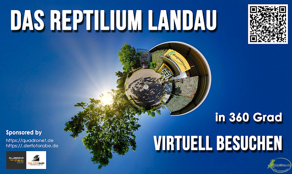 Virtuelle Tour durch das Reptilium in Landau. Reptilium - Terrarien u. Wüstenzoo
